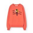 Boys & Girls Orange Printed Cotton Sweatshirt For Discount