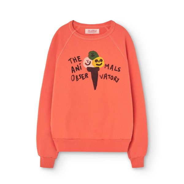 Boys & Girls Orange Printed Cotton Sweatshirt For Discount