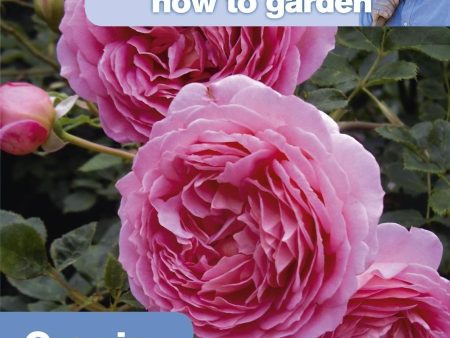 Alan Titchmarsh How to Garden: Growing Roses- Paperback Sale