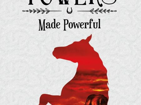 Apley Towers Made Powerful Book No. 2 By Myra King - Young Adult - Paperback Supply