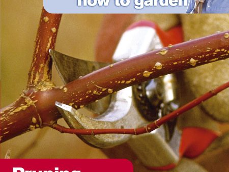 Alan Titchmarsh How to Garden: Pruning and Training- Paperback Online Hot Sale