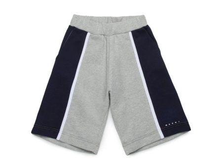 Boys & Girls Grey Cotton Shorts Cheap